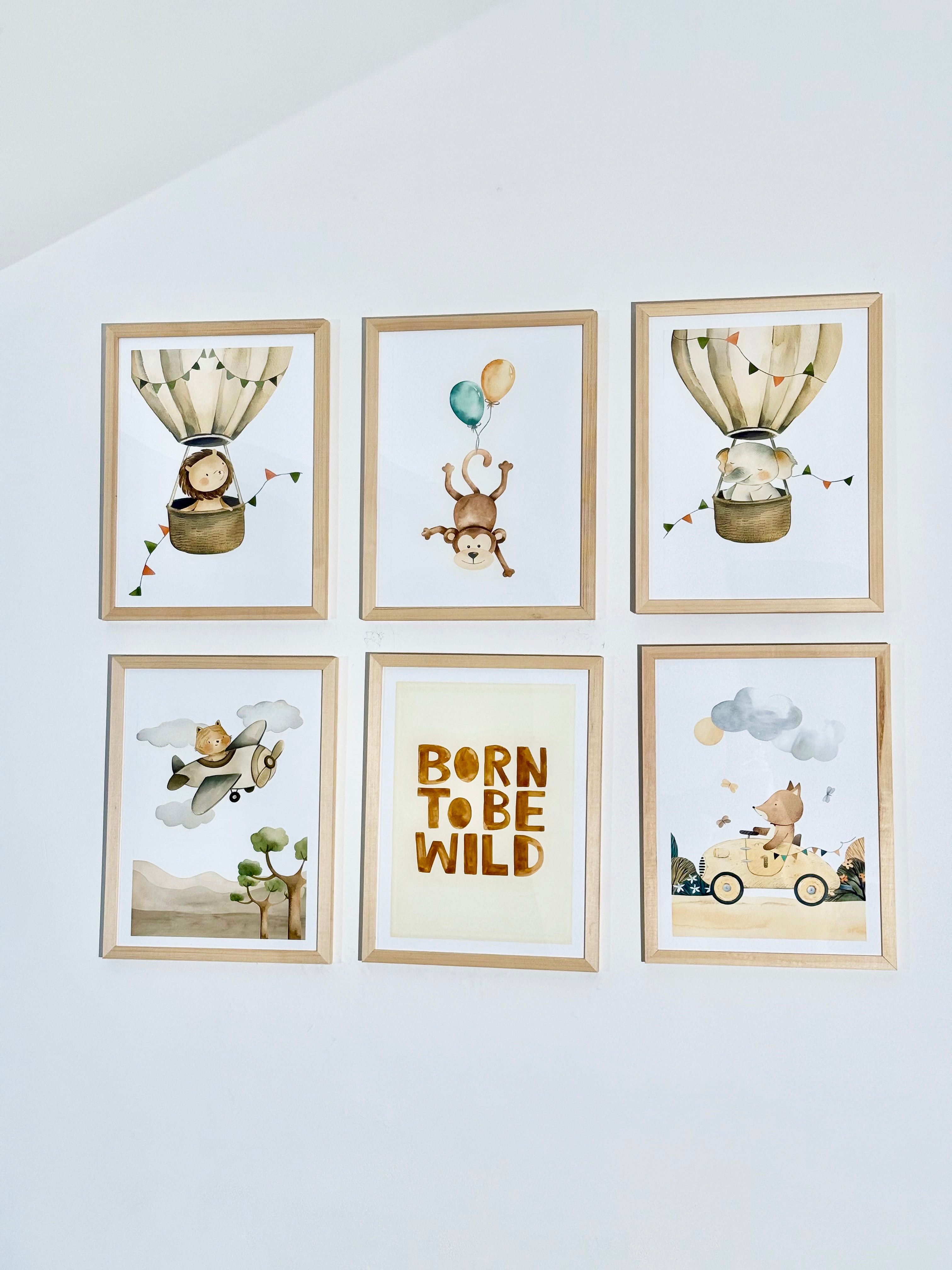 Born to be wild Set